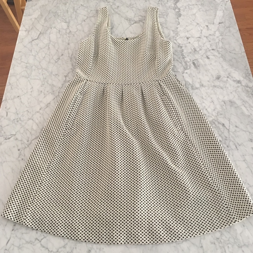 Banana Republic Fit & Flare Dress